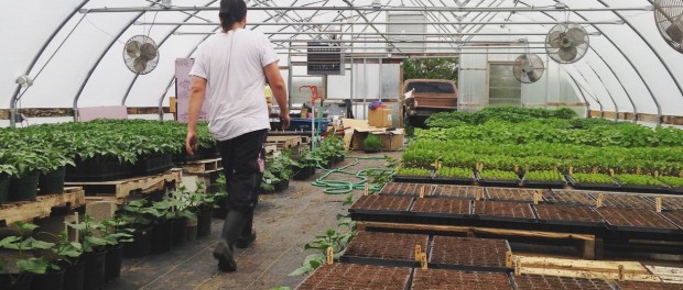 rsz_853 Farm Apprenticeship in Nebraska