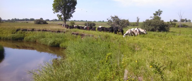 rsz_img_20150714_101928_630 Holistically Managed Ranch Internships