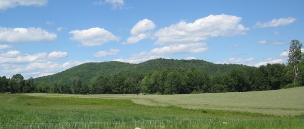 hay_animals Finding Farmland