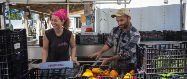 image organic farmer job Illinois