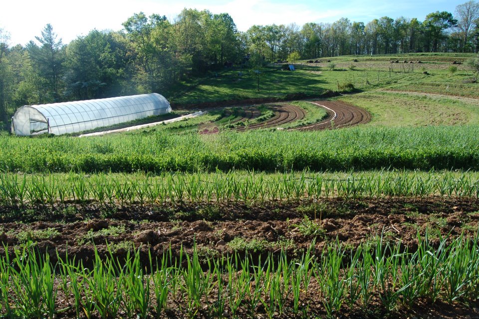 Starting A Farm Beginning Farmers