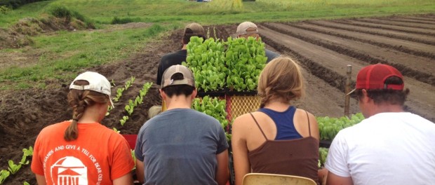 Farm Photo formed Beds Farm Photo Formed Beds