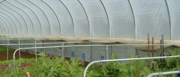 Organic Farm Job Organic Farm in Pennsylvania