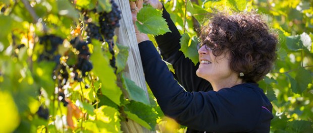 UMass online associates degree online sustainable farming degree