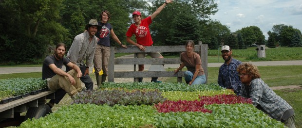 crew 2015- wagon Turtle Creek Farm Crew