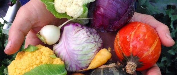 image funding for community food projects