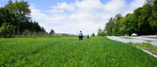 incubator_farm beginning farmer training at new entry