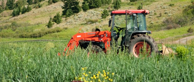 rsz_tractor_beth_gibson Farming in Montana