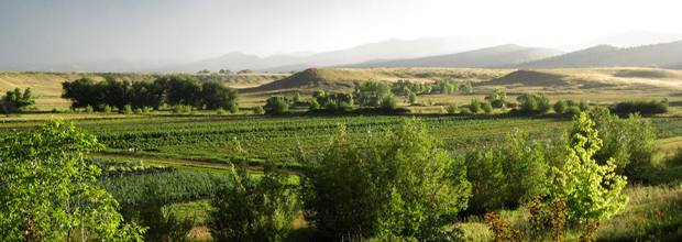 Pachamama Farm Pachamama Farm Colorado