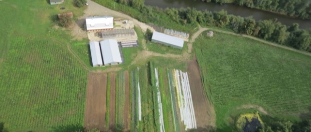 IMG_1162 organic farm aerial