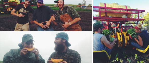 InternCollage CSA Farm Interns