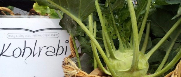 Kohlrabi kohlrabi for sale