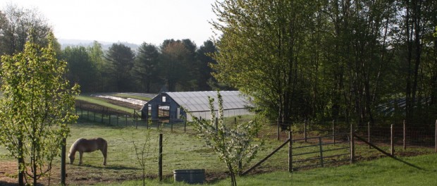 rsz_december_photos_094 organic farm in Maine