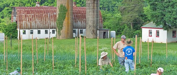 Fauquier_Education_Farm_vols Junior Beginning Farmer Program