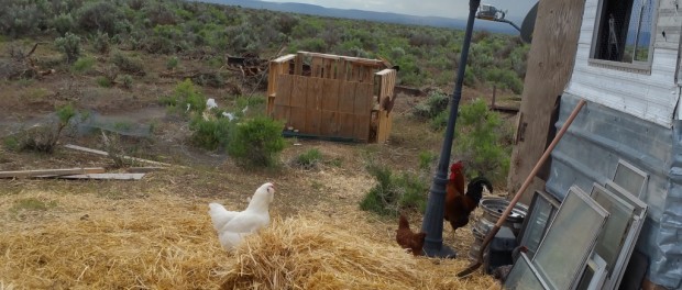 Oregon Desert Farm Oregon Desert Farm