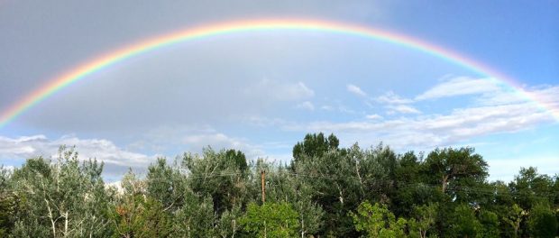 10551006_661824507234724_6081624240778063602_n rainbow over farm