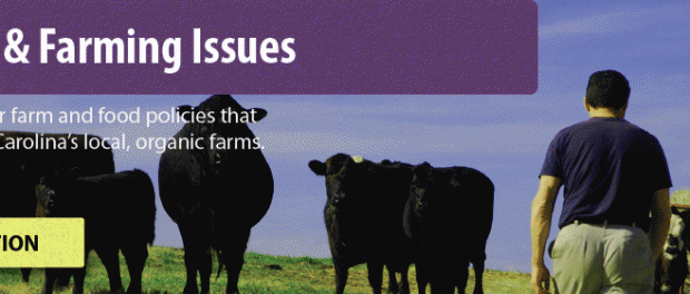sc-issues Farm Policy