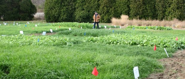 Freeville Reduced Tillage farm field days