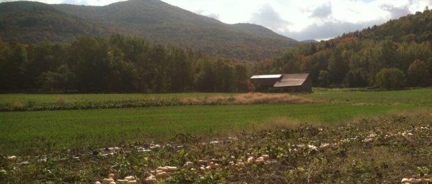 IMG_1135 farm and ranch land sales