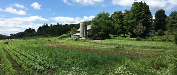 common-thread-farm-version-2 Next Generation of Agriculture