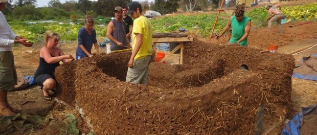 10584054_1486250531646397_1992525024696230237_n farm internship in California
