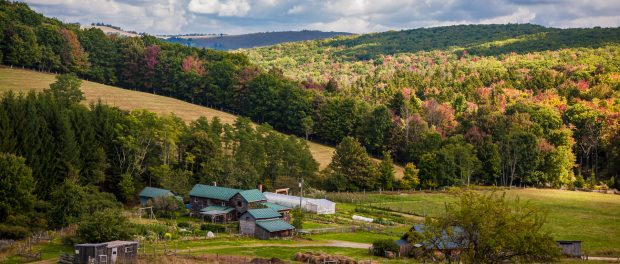 AMI Farm local food system fellowship program