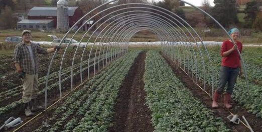 Asher and Sophia cat, cropped Crowdfunding 101 for Beginning Farmers