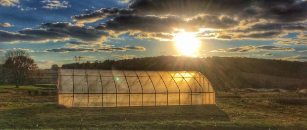 Greenhouse in sun FTT 2016 Greenhouse in the Sun - The Seed Farm
