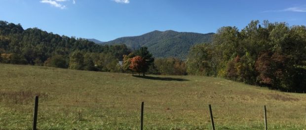 IMG_1270 berrey hill farm