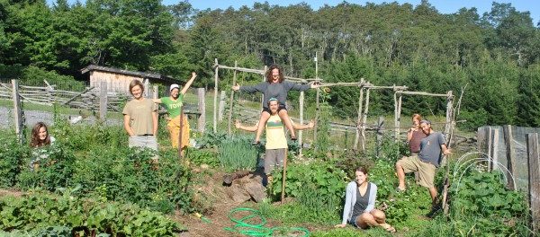 fellows growing food, building community