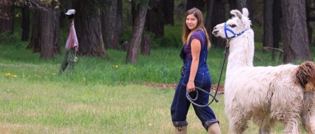 friend-and-llamas sanctuary farm