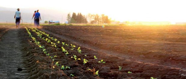 home-header farm business planning