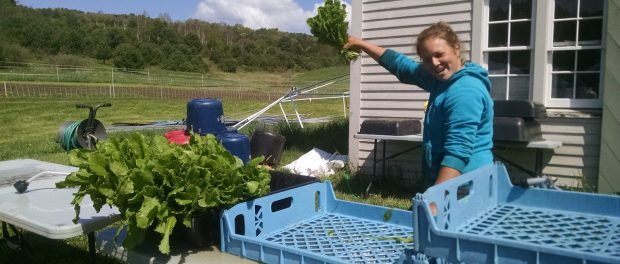 IMG_20160520_103234178 Assistant Farmer Position in Vermont