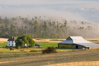 Trish_EbeyFog_0044 Farmland Access Bill