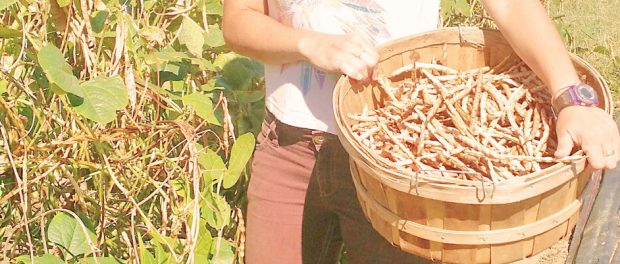 rsz_lauren_-_copy Athena's Harvest
