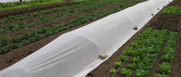 2016May04Northstar EcoFarm School