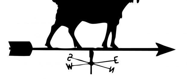 Goat Logo with Text-Square (1) Local Food and Farming