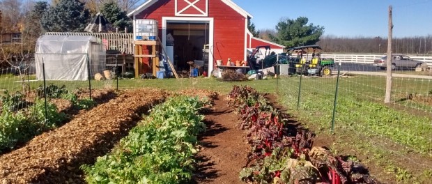 Small Farms Winter Webinar Series Beginning Farmers