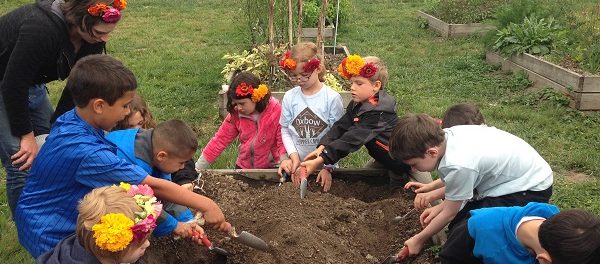 Ox Ed JA pic Kids' Farm Crew