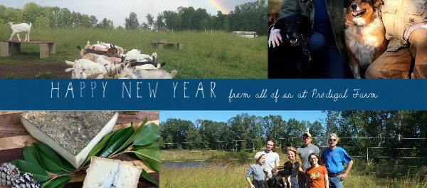 Prodigal New year 2017 prodigal farm
