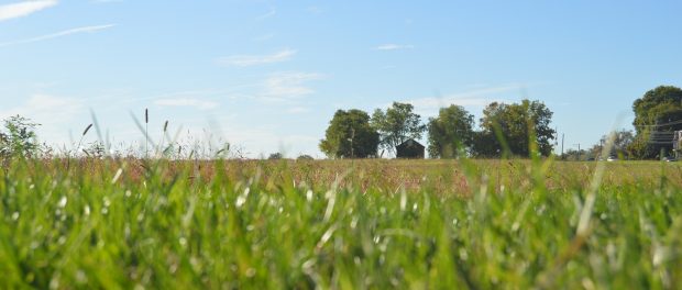 SMALL Organic Farming