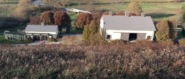 rsz_rivendale_farms_pic Rivendale Farms