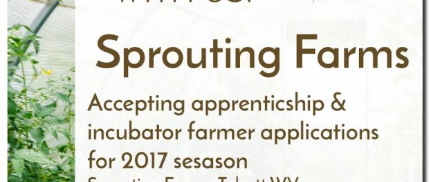 unnamed Sprouting Farms Incubator Farm