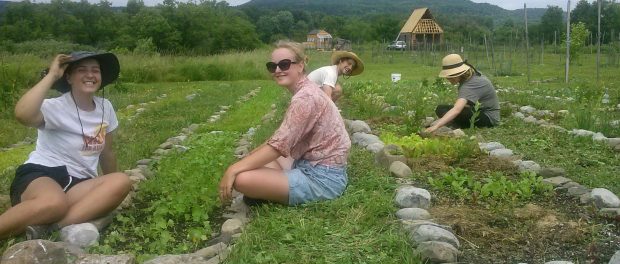 14976315_1807260189516744_1142865945875011698_o Unadilla Community Farm