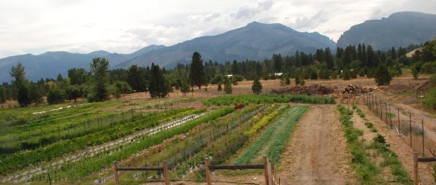 DSC_2557 Montana Farms