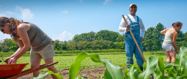 unnamed UVM Farmer Training Program
