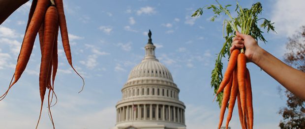 NSAC-carrots-capitol- Agriculture Research Grants
