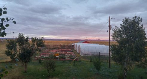 Windy Mesa Farm wwoof windy mesa farm