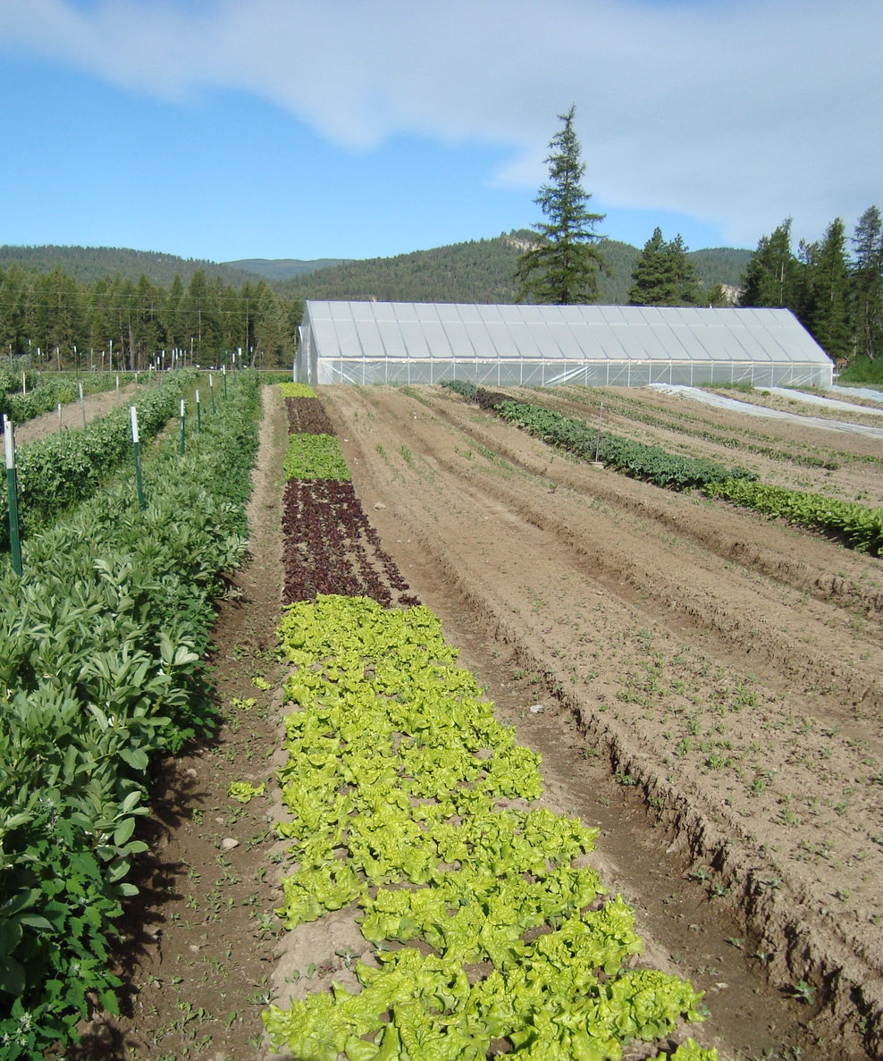 Certified Organic Diversified Farm Internships Montana Beginning