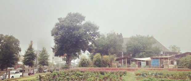 1969219_842715499081576_8081841633782387808_n teaching farm